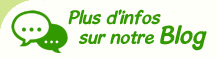 blog du camping les mouettes en bretagne sud 56