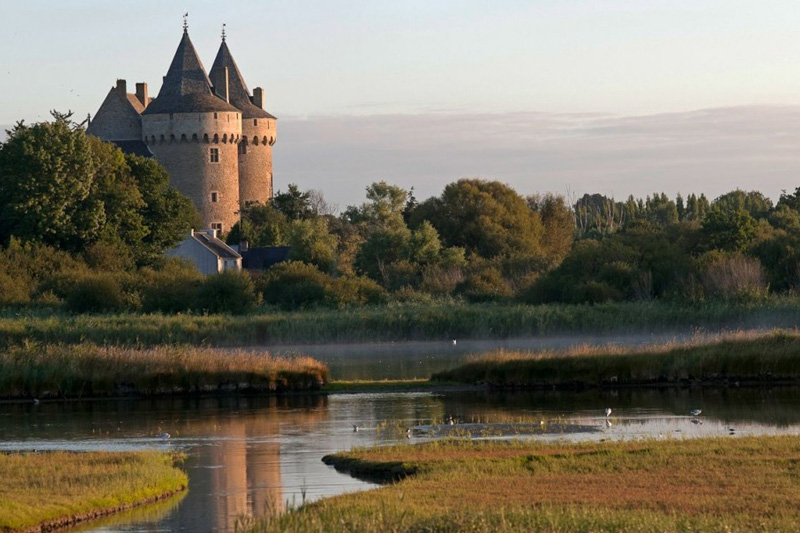 les-marais-du-chateau-de-suscinio-golfe-du-morbihan