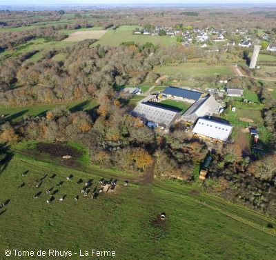 Tome-de-Rhuys-La-Ferme-fromagere-de-Suscinio-a-Sarzeau