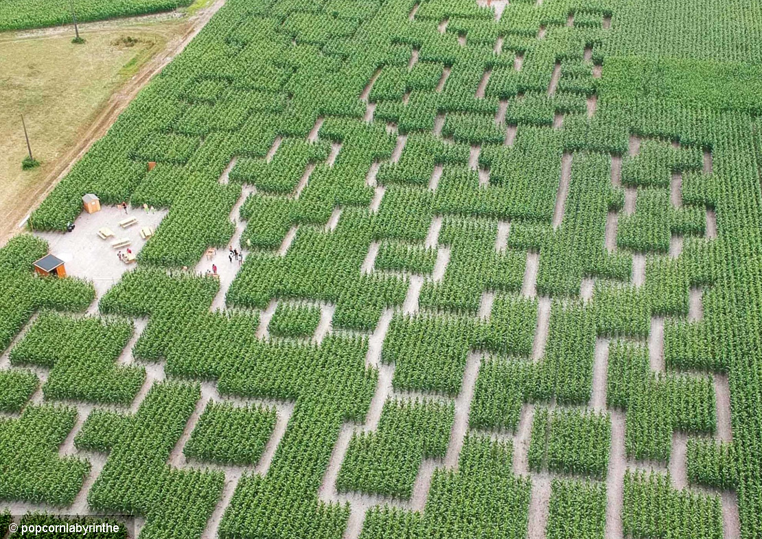 labyrinthe-de-mais-Sarzeau